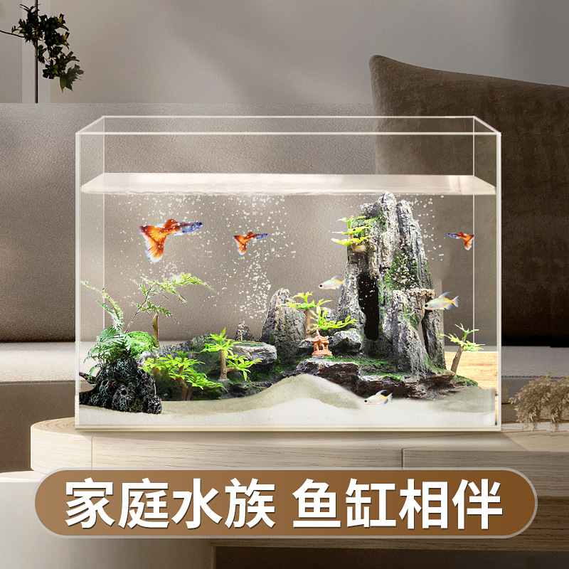 鱼缸生态桌面水草造景家