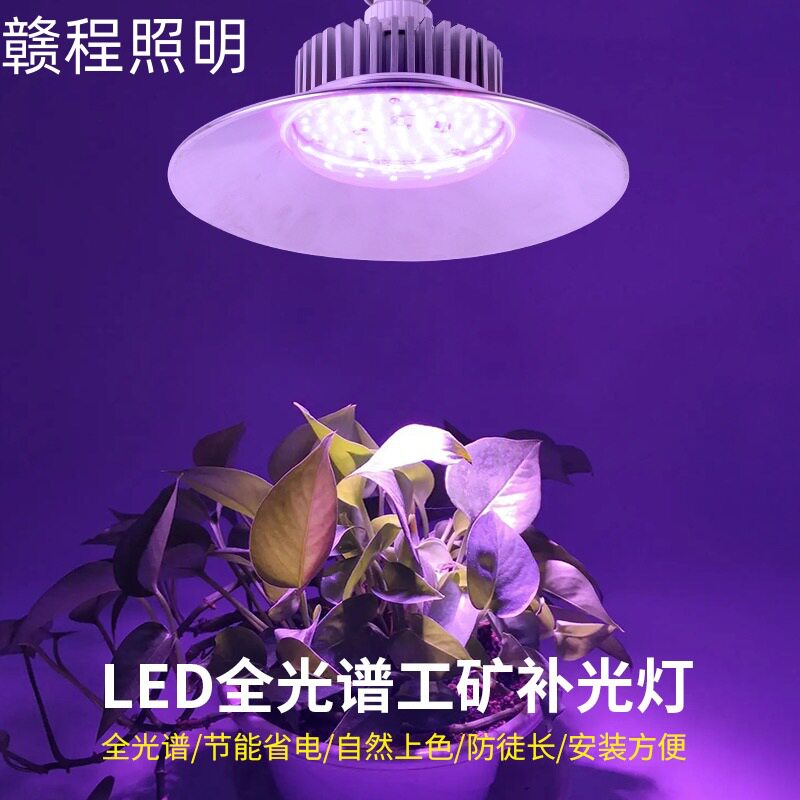 led全光谱植物补光灯大棚