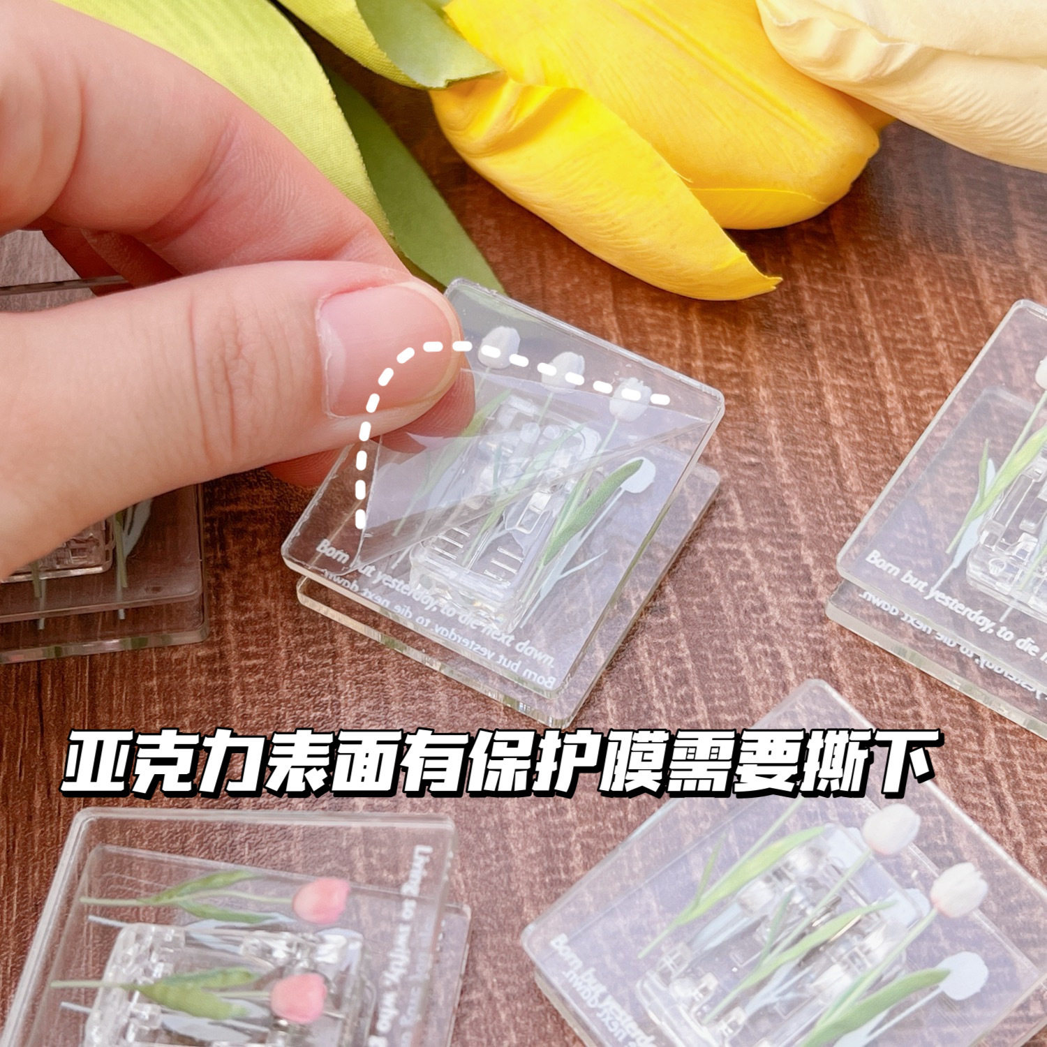 투명 폴더 작은 폴더 각설탕 아크릴 클립 롱테일 클립 컬러풀한 튤립 핸드북 정리함