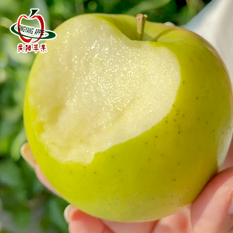 甘肃庆阳苹果青苹果家庭果
