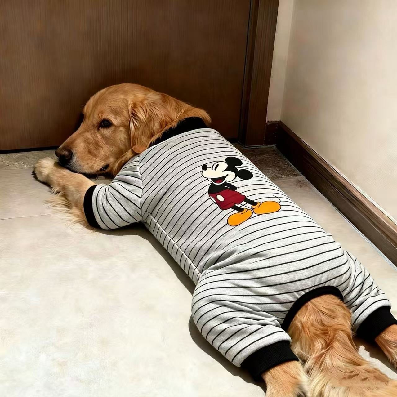 狗狗新款衣服防冻灰黑条纹经典米奇室内打底四脚衣大型犬金毛萨摩