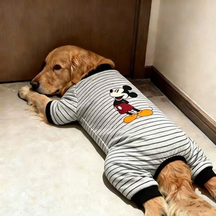 狗狗新款衣服防冻灰黑条纹经典米奇室内打底四脚衣大型犬金毛萨摩