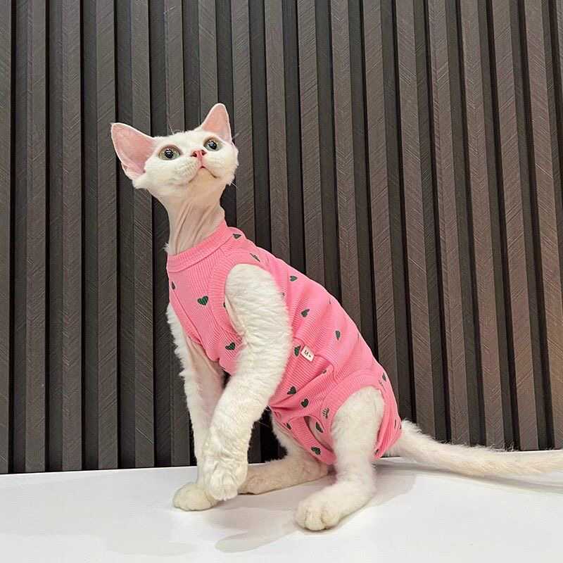 任发财护肚高弹纯棉无毛猫衣服