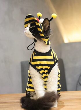 夏季猫狗带帽薄款防掉毛套装