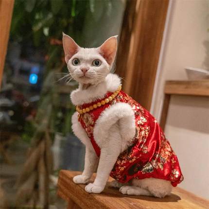 猫咪衣服金丝绒旗袍防舔抗起球新年新款加绒加厚喜庆德文无毛马甲
