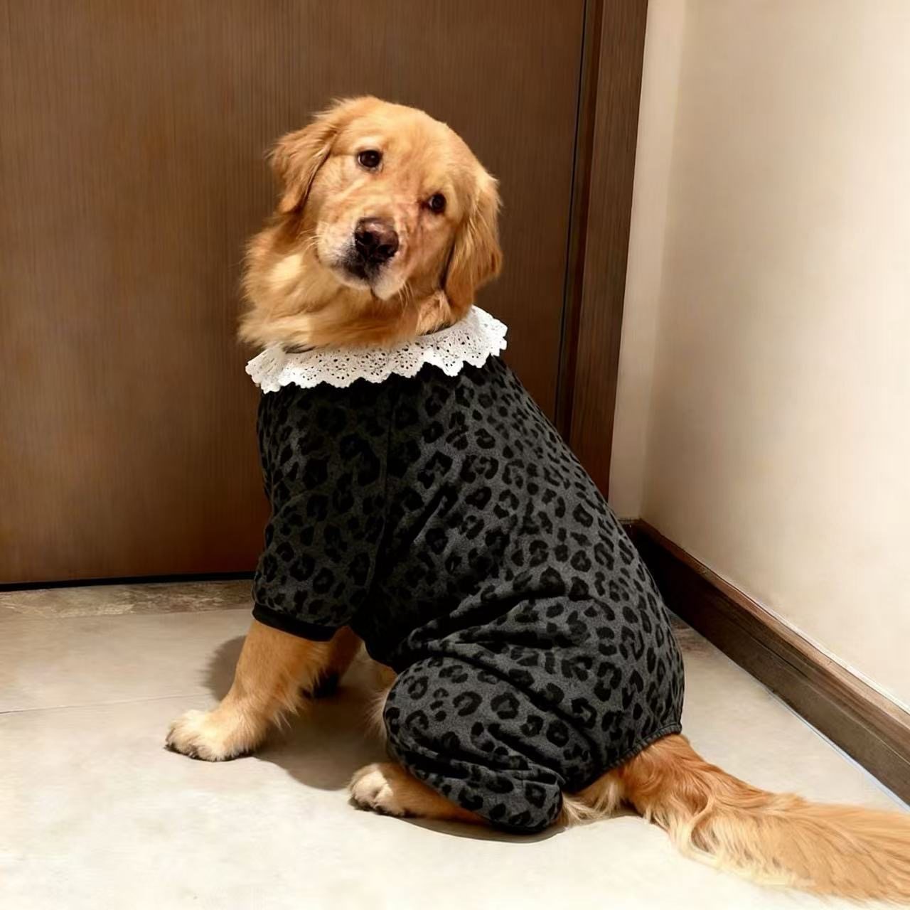 狗狗衣服秋冬款防冻金毛萨摩黑灰豹纹白色领口打底衫四脚衣保暖,宠物/宠物食品及用品,狗宠物服装/雨衣,淘宝优惠券,粉丝福利购,淘宝优惠卷