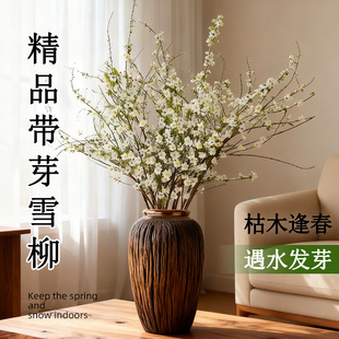 雪柳干枝鲜枝水养插花水培鲜花卉植盆栽室内氛围带花苞鲜切绿植
