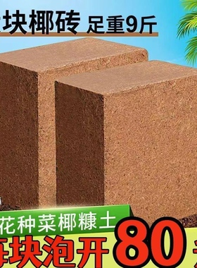 9斤大椰砖养花养花种菜椰砖营养土耶砖土乌龟冬眠特级进口大椰砖