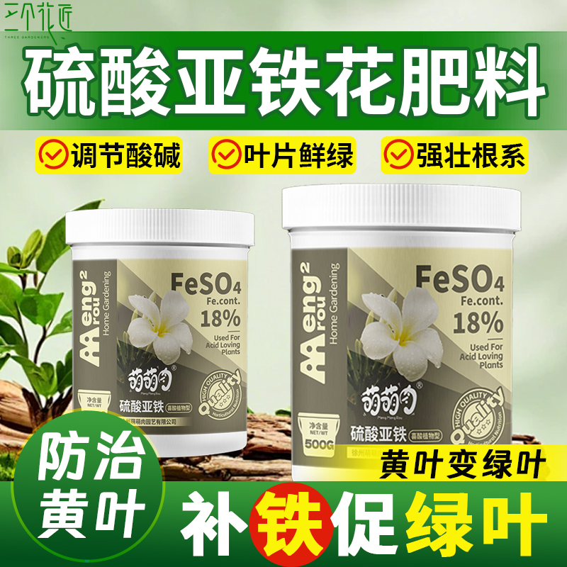 硫酸亚铁花肥料栀子花盆栽桂花茶