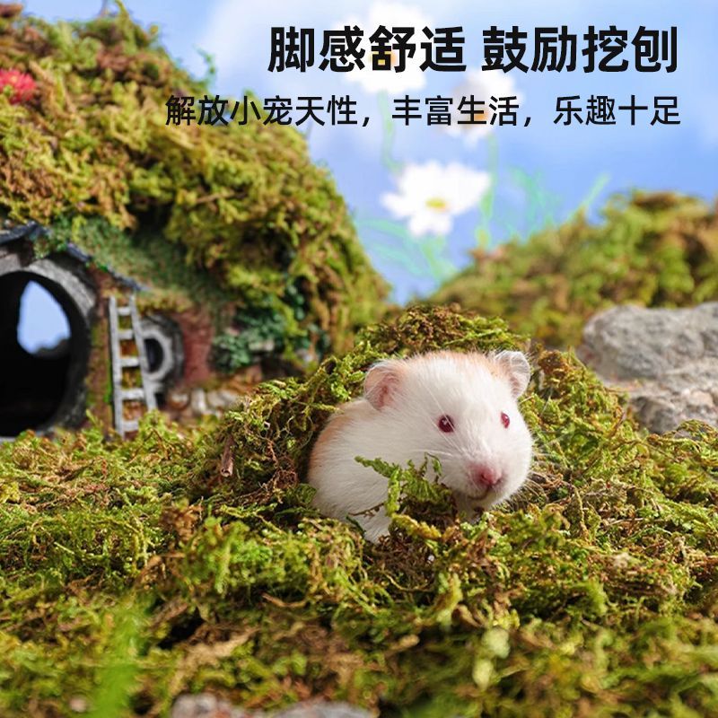 仓鼠造景苔藓用品垫料