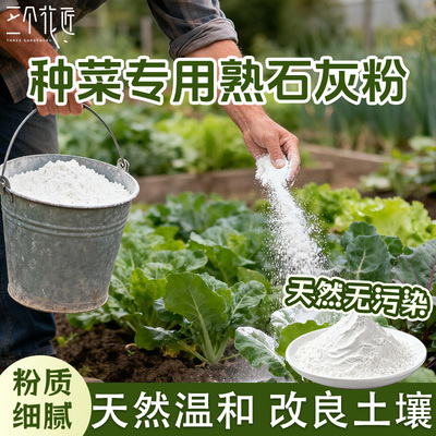 熟石灰种菜专用正宗家用菜地白灰