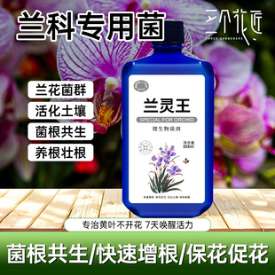 兰灵王专用营养液保花促花菌根共生蝴蝶兰君子兰肥料浓缩微生物菌