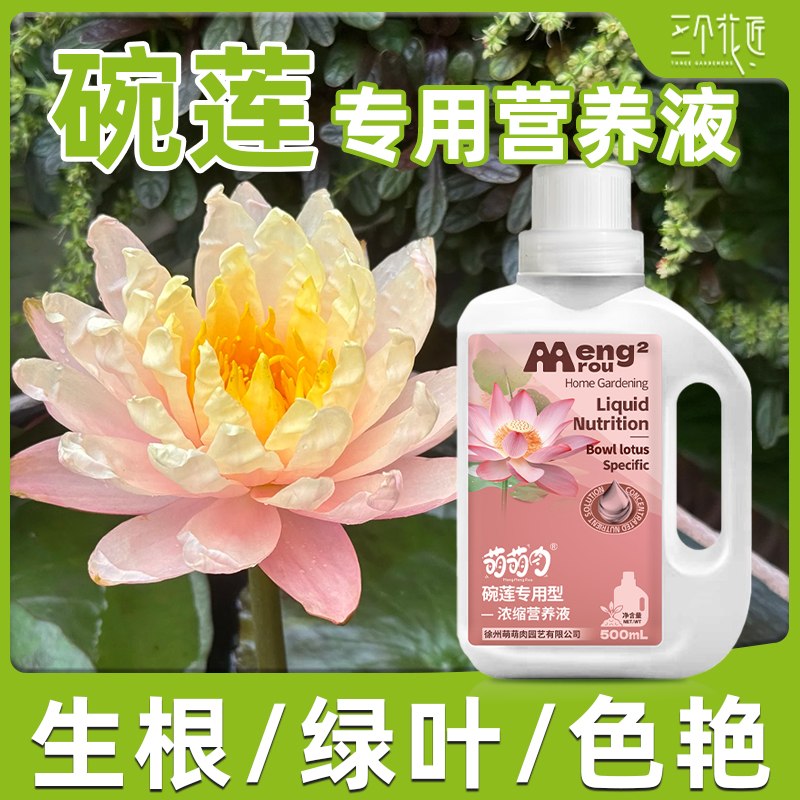 碗莲专用营养液防黄叶