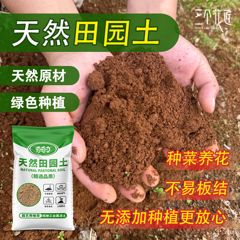 优质田园土庭院种菜土种果树黄土蔬菜种植土花土通用土壤泥土,鲜花速递/花卉仿真/绿植园艺,介质/营养土,淘宝优惠券,粉丝福利购,淘宝优惠卷