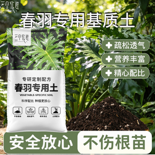 春羽专用营养土阳台盆栽土天南星科土壤竹芋龙鳞龟背竹热植种植土