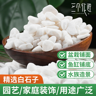白石子白石头鹅卵石景观庭院铺路鱼缸造景阳台装饰盆栽颗粒铺面