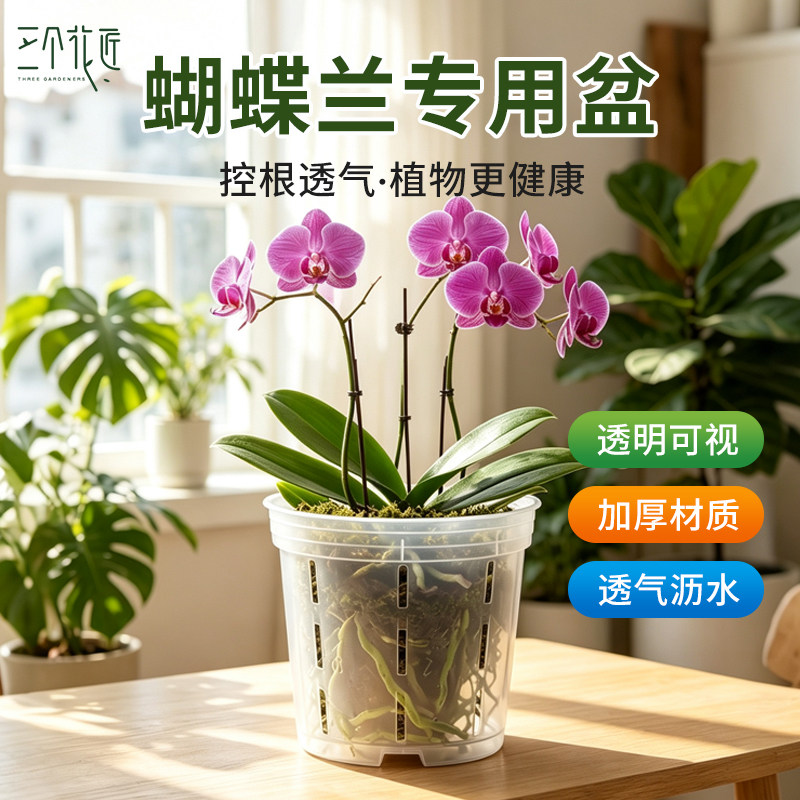 蝴蝶兰控根盆简约花盆透明透气塑料树脂兰花家用白色加厚大号防晒