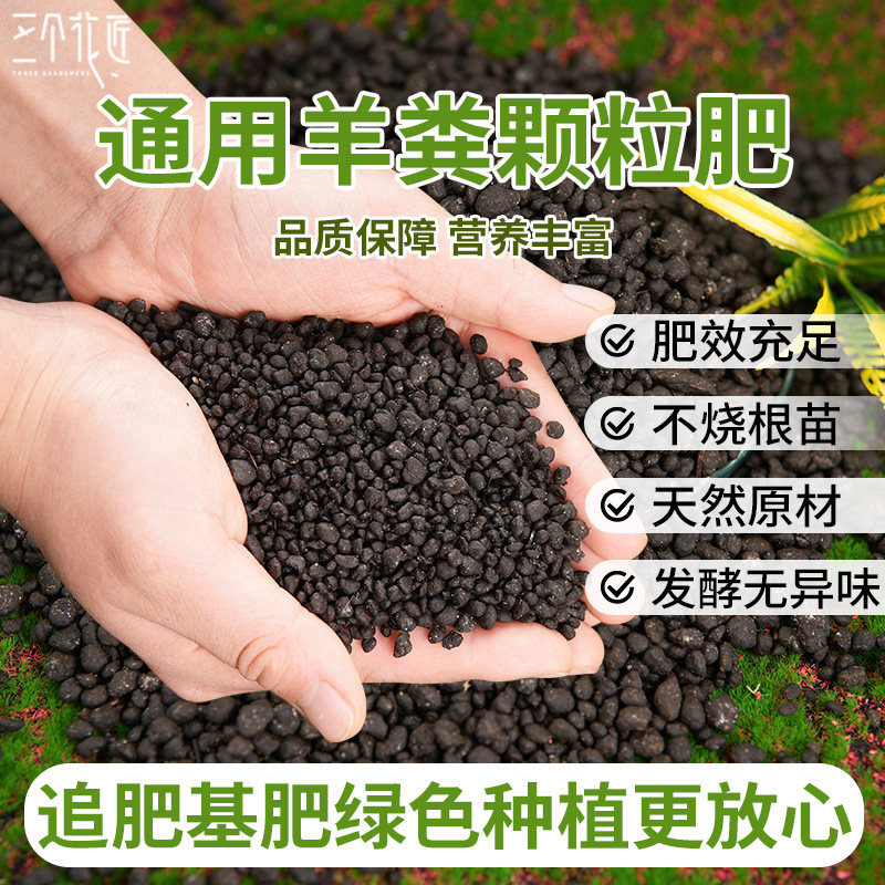 纯羊粪蛋颗粒肥绿植蔬菜花卉通用肥农家羊粪发酵有机花肥养花通用,鲜花速递/花卉仿真/绿植园艺,家庭园艺肥料,淘宝优惠券,粉丝福利购,淘宝优惠卷