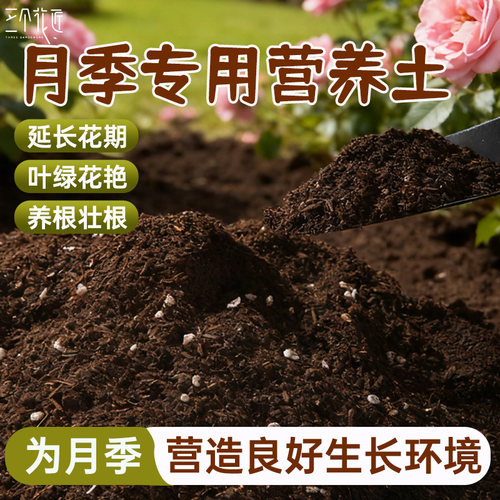 有机月季土蔷薇花土月季花营养土