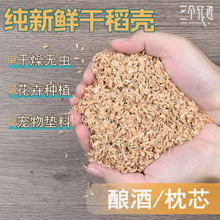 新鲜干稻壳稻谷优质新鲜水稻谷壳种菜拌土粗糠喂鸡宠物枕头芯填充