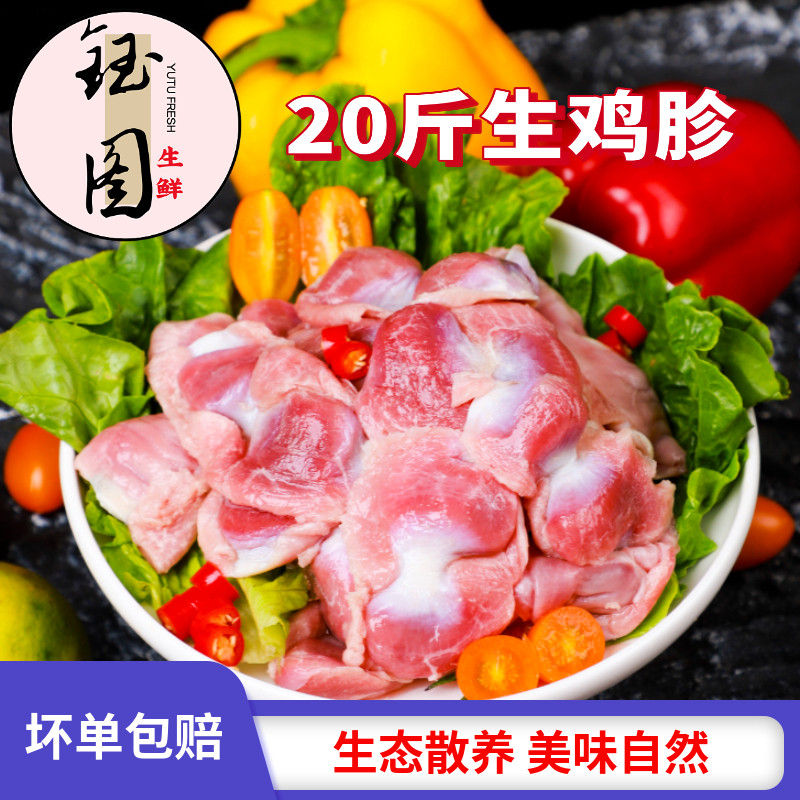 鸡胗新鲜冷冻鸡胗鸡胃鸡肫鸡肚子火锅烧烤食材餐桌整箱批发,水产肉类/新鲜蔬果/熟食,鸡肉/鸡肉制品,淘宝优惠券,粉丝福利购,淘宝优惠卷