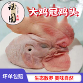 正宗公鸡头大冠公鸡头散养公鸡头土鸡公鸡头鸡头冷冻新鲜烧烤食材