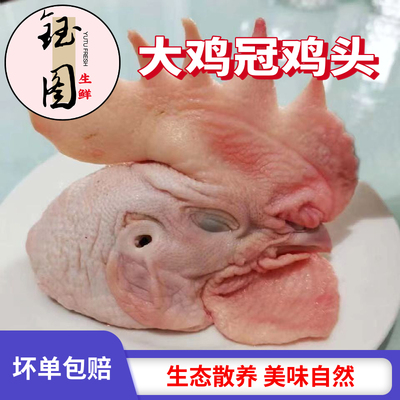 钰图正宗公鸡头大冠散养