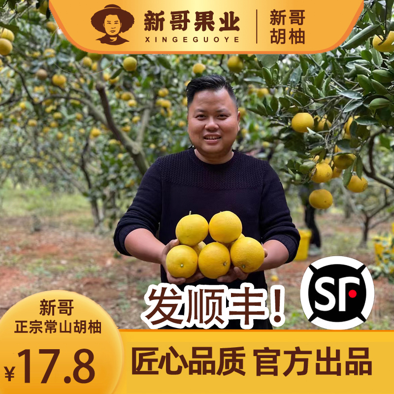 优质常山胡柚新鲜采摘