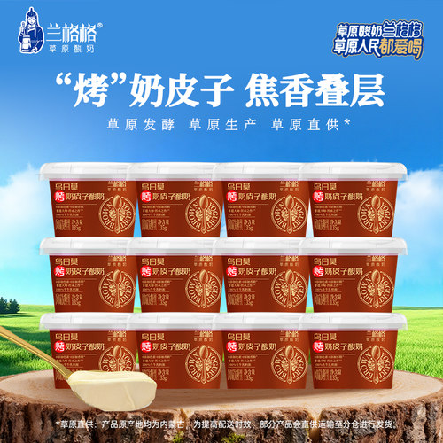 兰格格乌日莫烤奶皮子酸奶酸牛奶