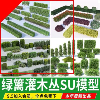 园林景观隔断植物绿化带造型篱笆方形绿篱灌木草图大师su模型素材