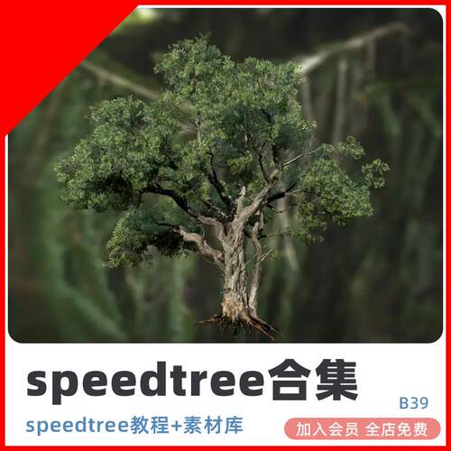 speedtree软件树木C4D植物素材库unity教程UE4资源设计素材源文件