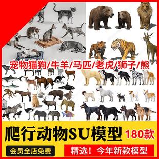 宠物猫狗草图大师SU模型牛羊山羊绵羊羊驼骏马马匹老虎狮子熊鹿