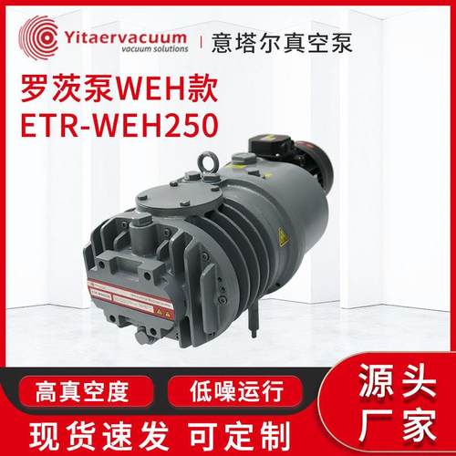 罗茨真空泵现货罗茨泵WEH款ETR-WEH250自然风冷工业真空机厂家
