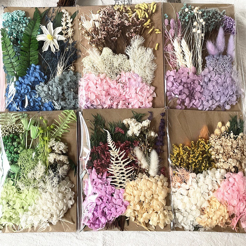 花干花材料包DIY相框贴画团扇浮游团建活动花艺颗花材包 厂