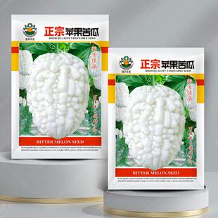 苹果苦瓜种子白苦瓜种籽四季孑春夏秋蔬菜籽蔬果水果农作物菜种孑
