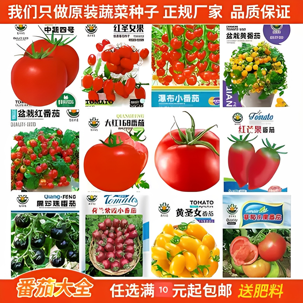 圣女果新型多彩瀑布番茄种子春季小西红柿苗千禧籽季农家蔬菜种子