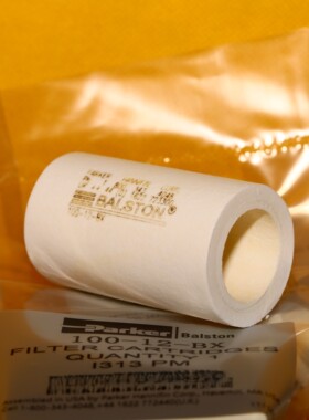 Parker Balston 100-12-BS 100-12-CS 100-12-DS 派克 滤芯