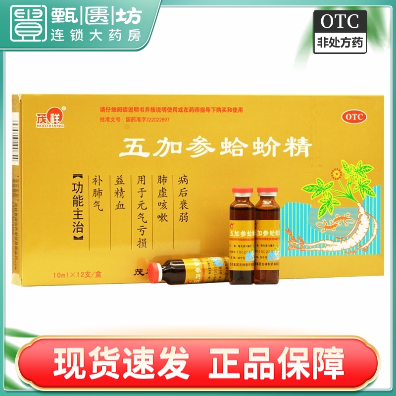 【茂祥】五加参蛤蚧精10ml*12/支