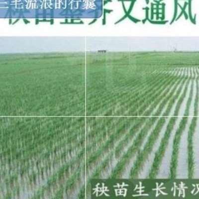 a插秧机水稻农用结实栽苗配件播种zE新式水田2020实用坚固方便插