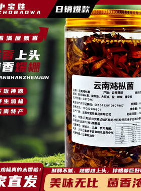 云南野生鸡枞菌下饭即食