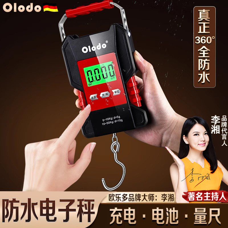 小型快递称可携式家用kg秤手拎弹簧秤买菜称鱼器高精度手提电子秤