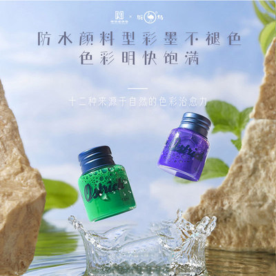 防水彩色墨水颜料型不褪色鸵鸟