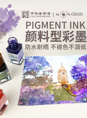 ostrich鸵鸟哥乐美彩墨钢笔淡彩防水墨水漫画莫兰迪水彩勾线颜料墨绘画手账试色用