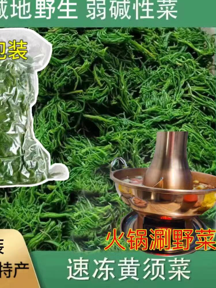野菜黄须菜新鲜盐碱地碱蓬菜海滩菜黄席菜饺子馅涮肉凉拌猪毛菜