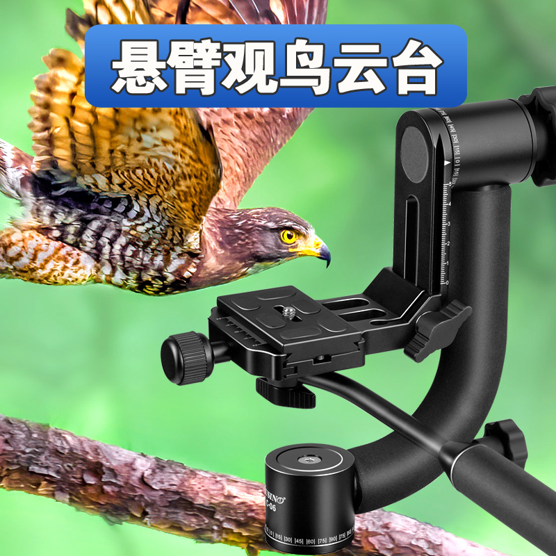 佳鑫悦专业观鸟悬臂云台长焦打鸟
