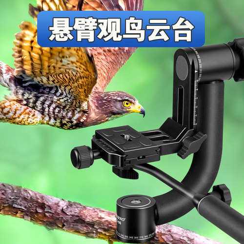 佳鑫悦专业观鸟悬臂云台长焦打鸟