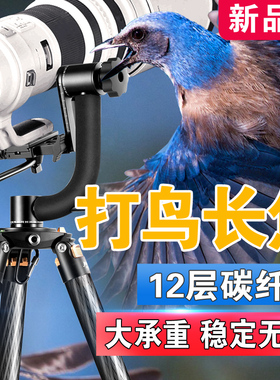 佳鑫悦三脚架单反打鸟长焦摄影摄像云台大管径专业碳纤维相机支架