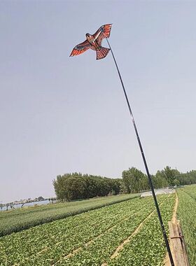 老鹰驱鸟器大号仿真模型动物阳台果园户外神器吓鸟V玉米地田间大