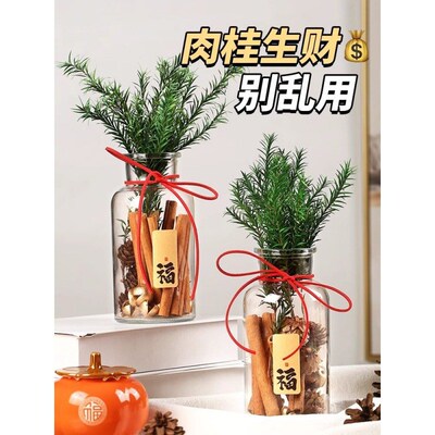 肉桂生财发财摆件招财玻璃瓶瓶子花瓶diyM材料客财厅位车载搬家用