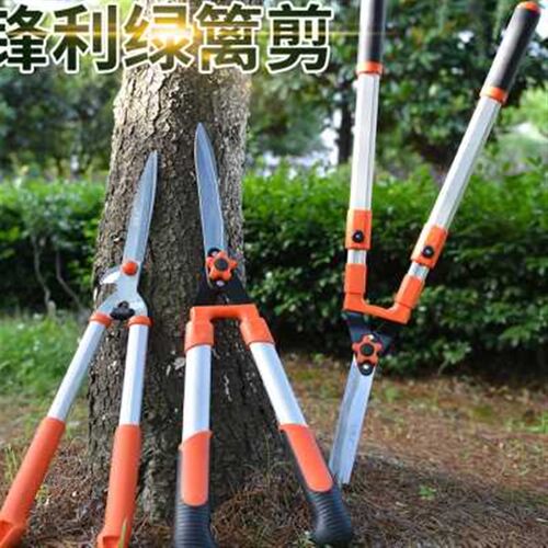花剪园艺b剪刀绿篱剪工具草坪修剪修枝剪花草树枝剪粗枝园林大剪